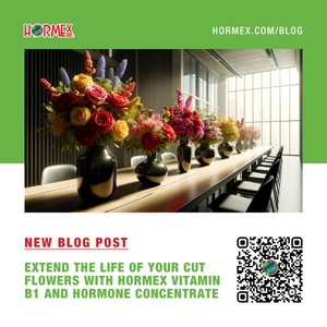 Extend the Life of Your Cut Flowers with Hormex Vitamin B1 and Hormone Concentrate