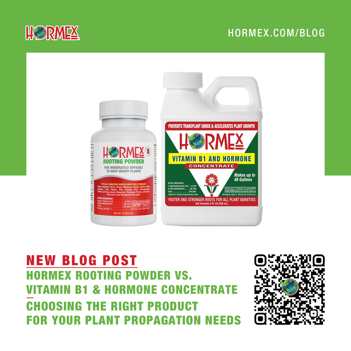 Hormex Rooting Powder vs. Vitamin B1 Hormone Concentrate | Choosing the Right Product for Your Plant Propagation Needs