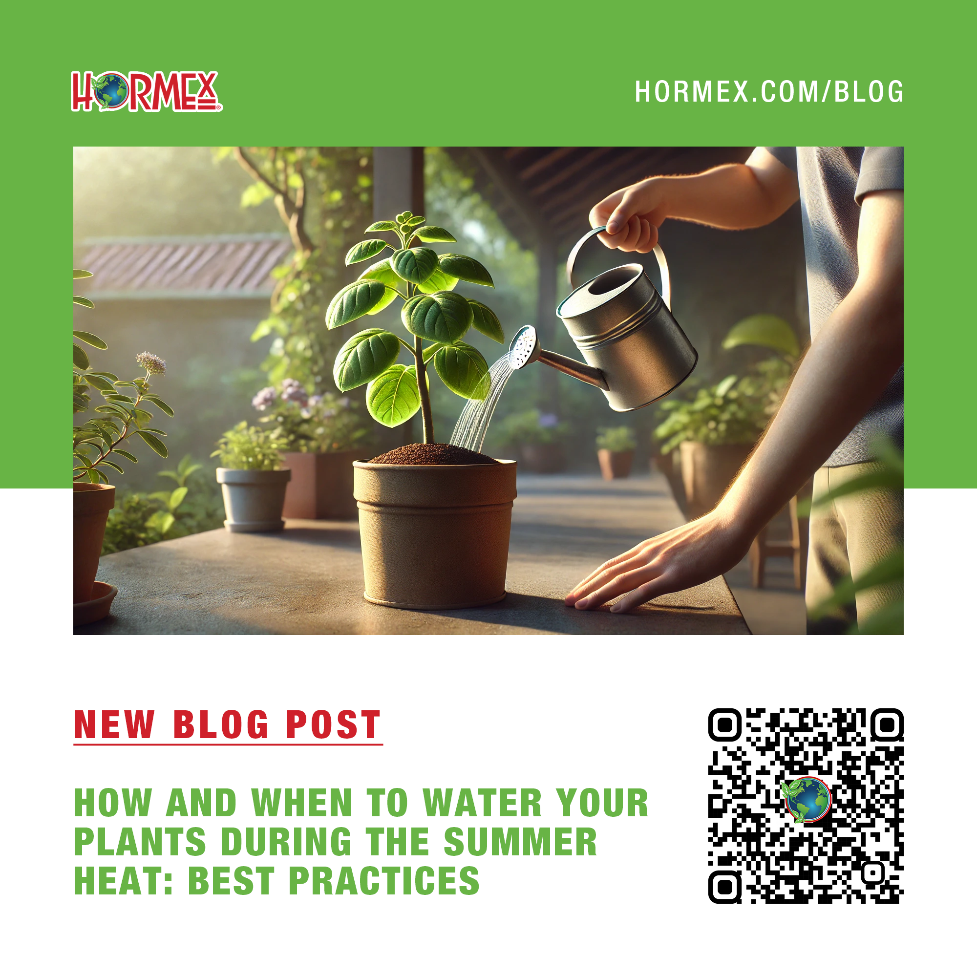 How and When to Water Your Plants During the Summer Heat – HORMEX