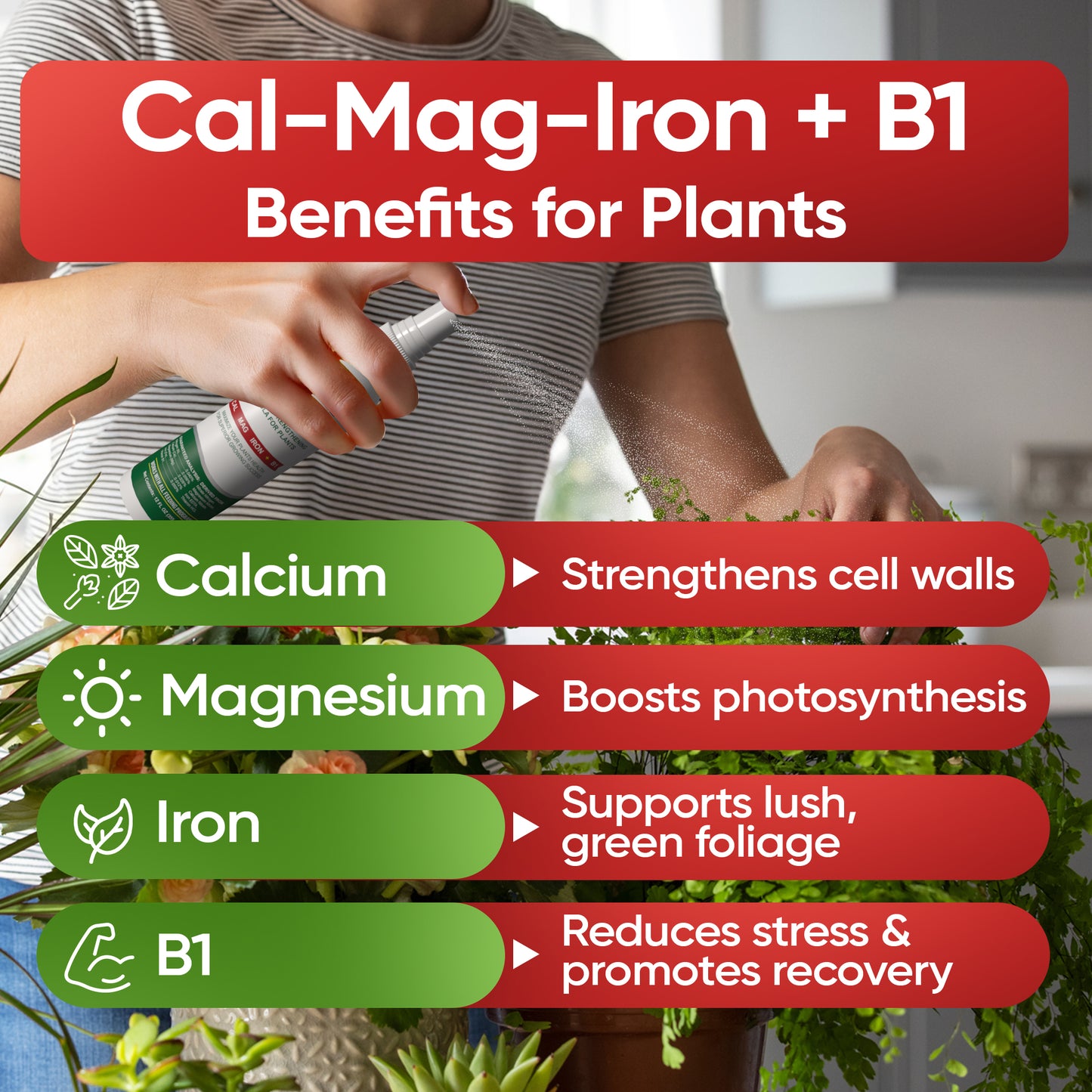 Hormex Mother Mist - Cal-Mag-Iron + B1 Misting Spray for All Plant Varieties - Boost Growth, Strengthen Plants & Improve Cloning Success - Nutrient Mist for Houseplants, Flowers, Vegetables & More