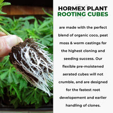 Hormex Rooting Cubes