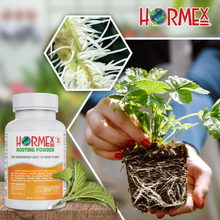 Hormex Rooting Powder #3 | Clone Moderately Easy to Root Plants From Cuttings