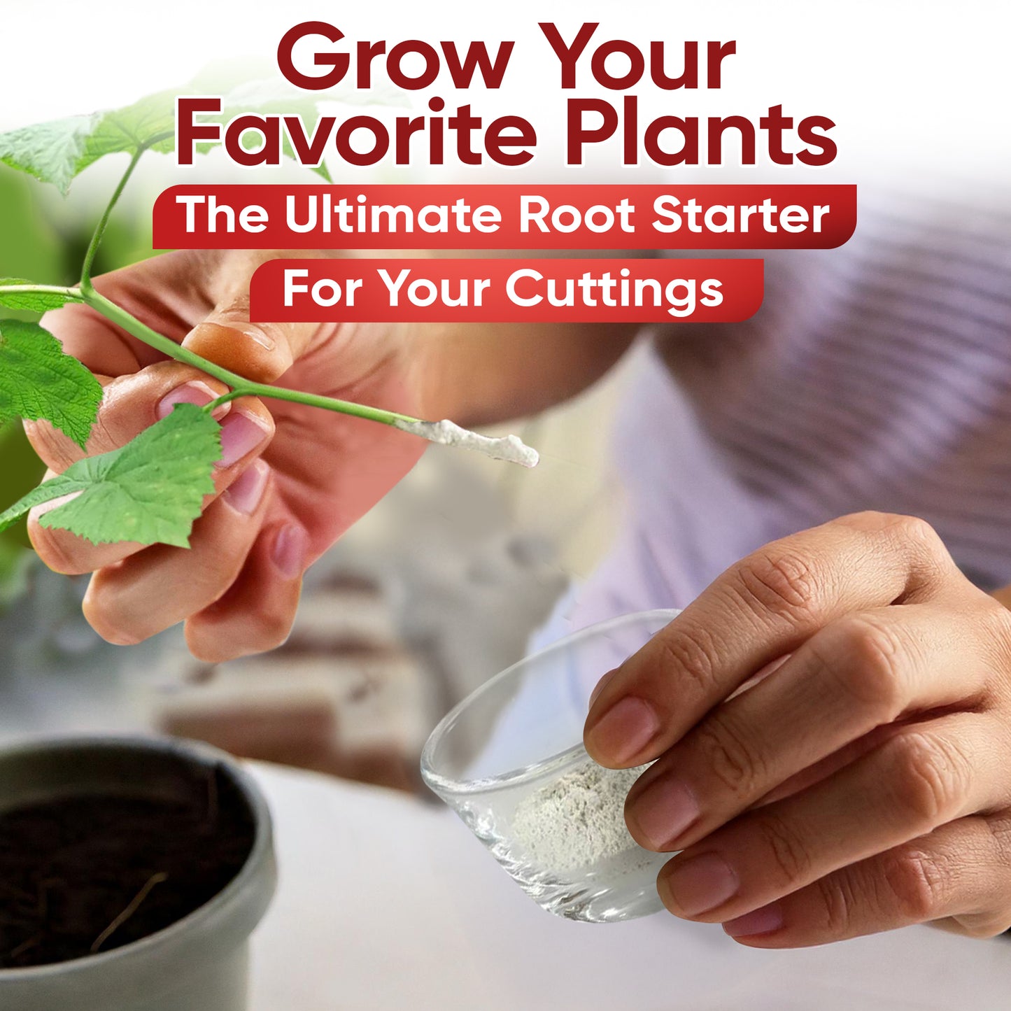 Hormex Rooting Powder #16 (1.60 IBA) - Rooting Hormone for Difficult Hardwood Plants & Tree Cuttings