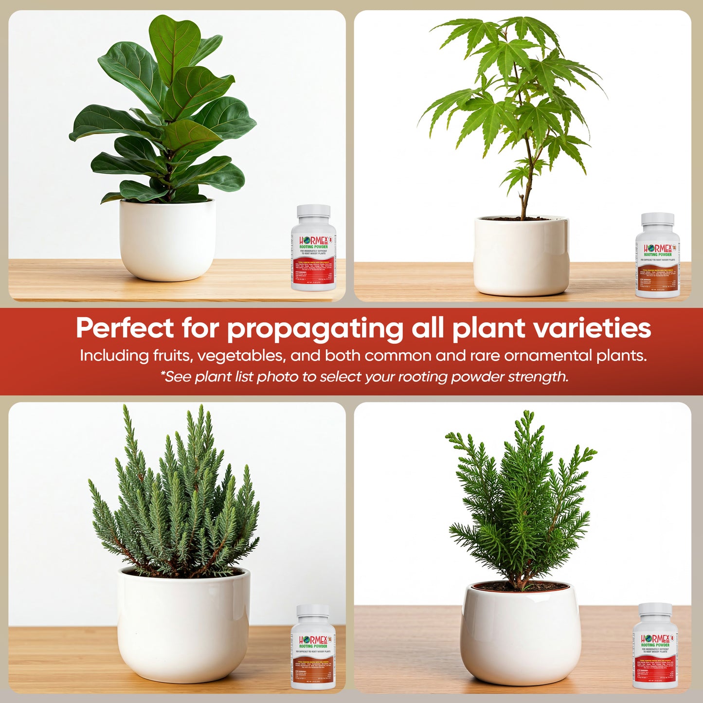 Hormex Rooting Powder #8 & 16 - Rooting Hormone for Semi-Hardwood Home and Garden Plants to Very Difficult Hardwood, Medicinal and Tree Cuttings
