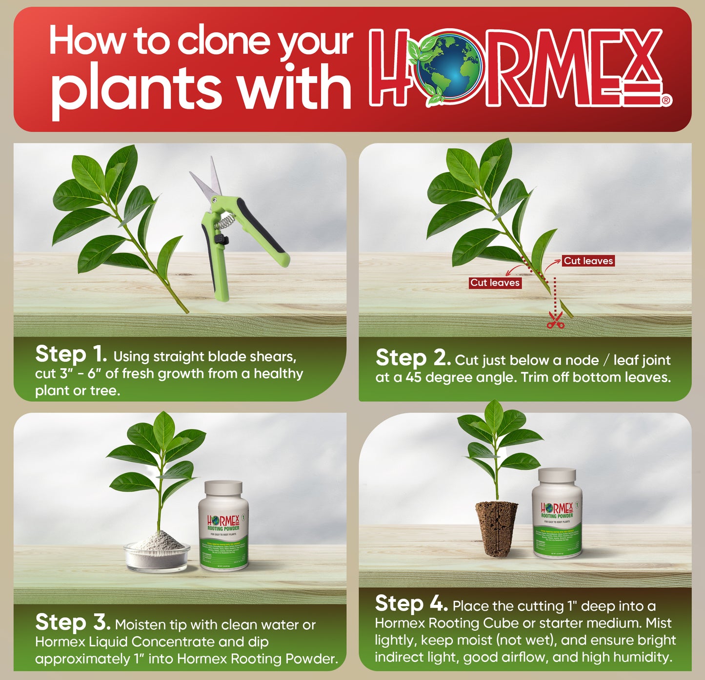Hormex Rooting Powder #1 (0.10 IBA) - Rooting Hormone for Delicate Houseplants, Garden Herbs & Succulent Cuttings