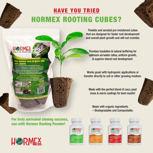 Hormex Rooting Cubes