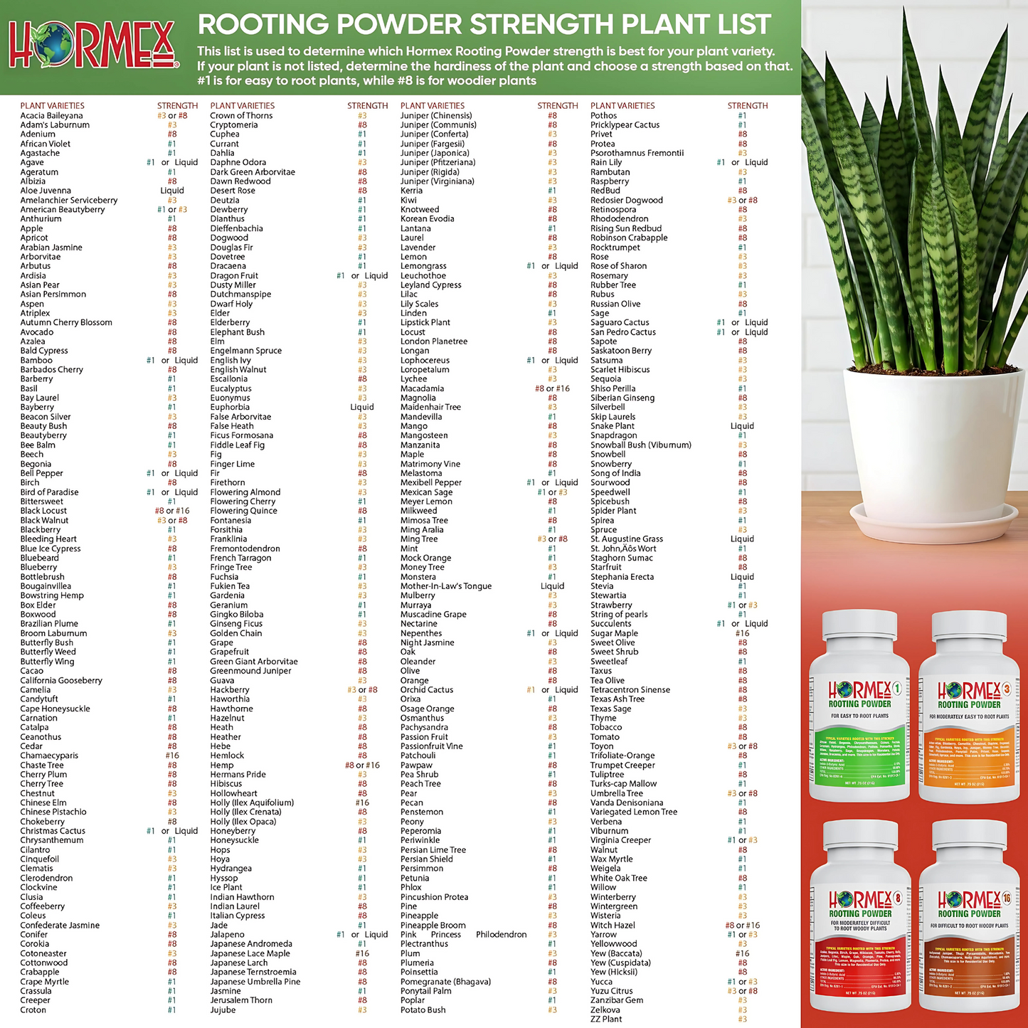 Hormex Rooting Powder #8 (0.80 IBA) - Rooting Hormone for Semi-Hardwood Houseplants, Medicinal & Tree Cuttings