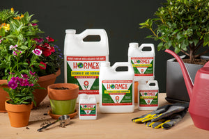 liquid rooting hormone for fastest plants roots
