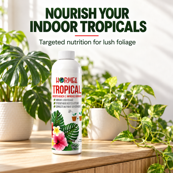 Hormex Tropical bottle surrounded by indoor tropical plants on a wooden shelf, with the words Nourish Your Indoor Tropicals.