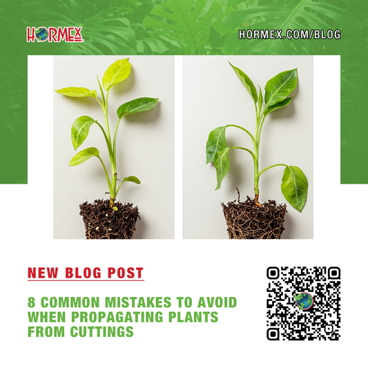 8 Common Mistakes to Avoid When Propagating Plants from Cuttings