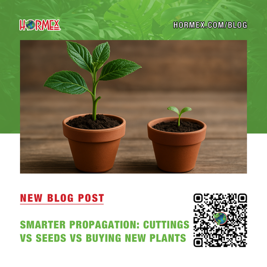 Smarter Propagation Starts Here: Cuttings vs. Seeds vs. Buying New Plants – The Clear Advantage