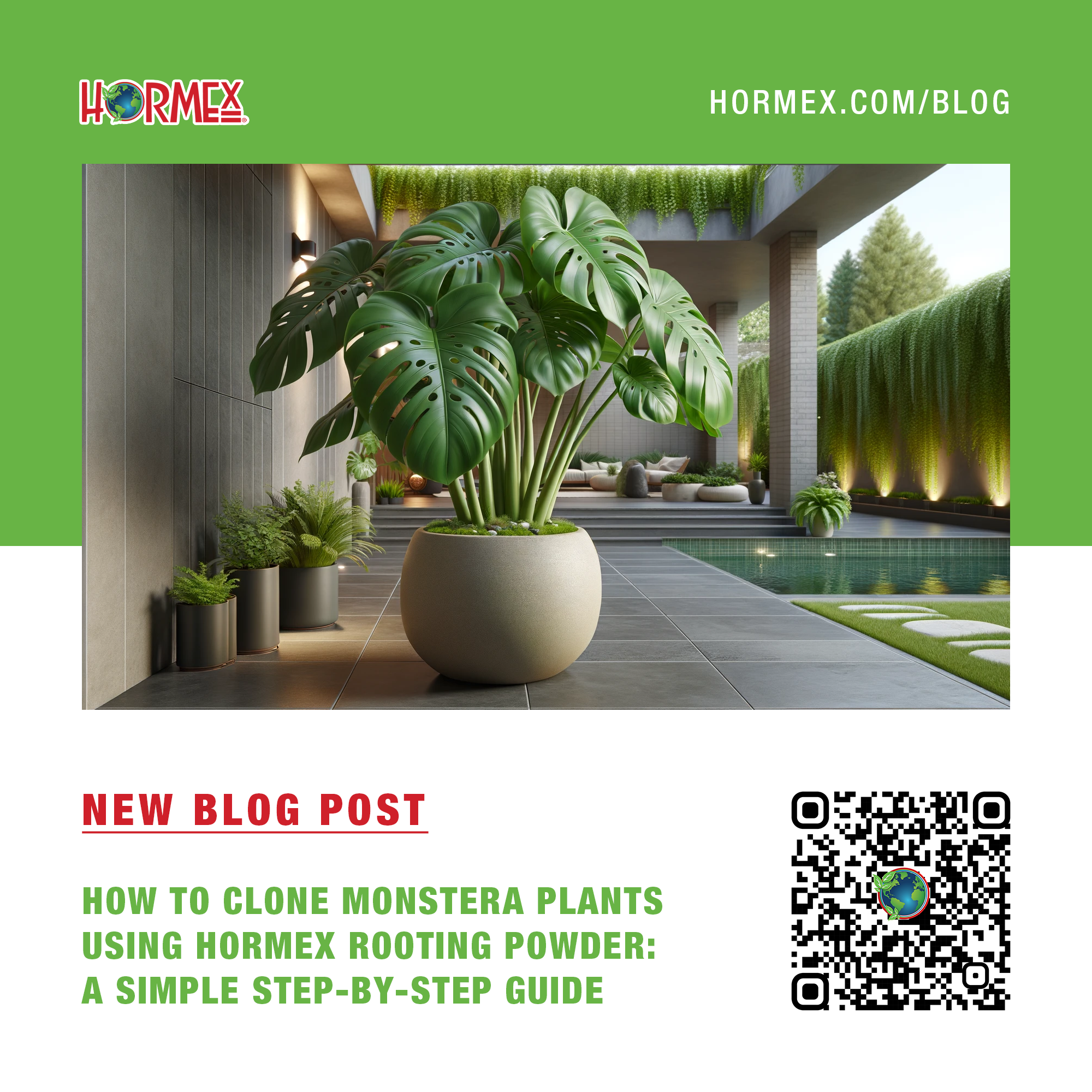 How to Clone Monstera Plants Using Hormex Rooting Powder – HORMEX