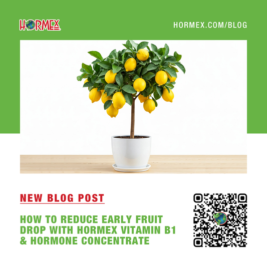 How To Reduce Early Fruit Drop With Hormex Vitamin B1 & Hormone Concentrate