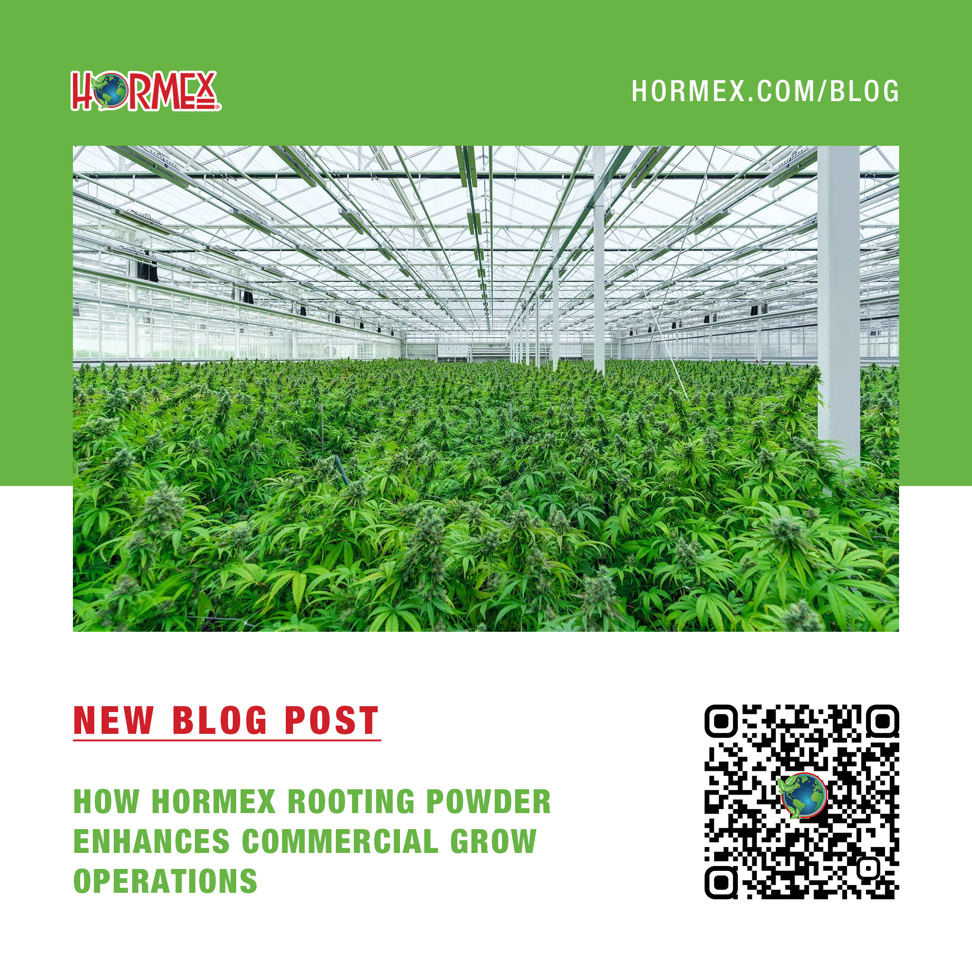 Hormex Rooting Powder Enhances Commercial Grow Operations – HORMEX