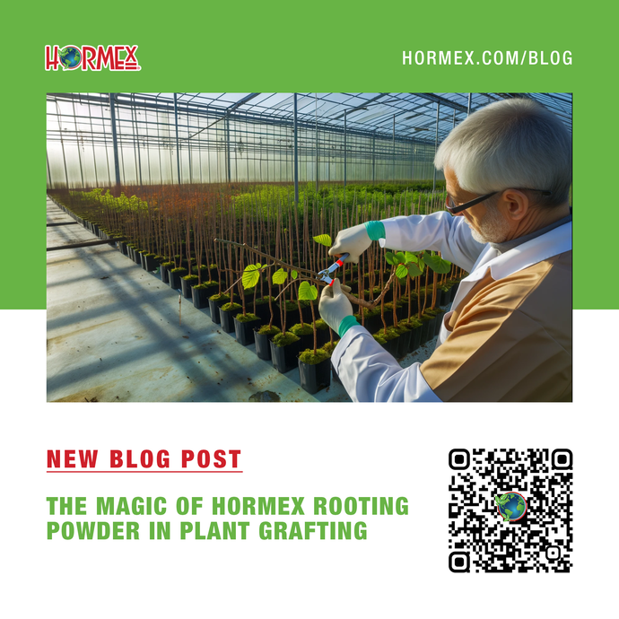 Hormex Rooting Powder and Plant Grafting