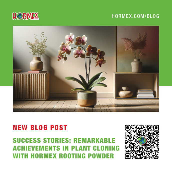 Success Stories: Remarkable Achievements in Plant Cloning with Hormex Rooting Powder