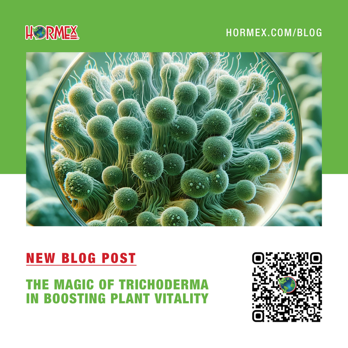 The Magic of Trichoderma in Boosting Plant Vitality