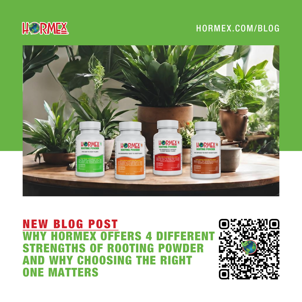 Powerful Root Stimulants for Healthy Plant Growth - Hormex