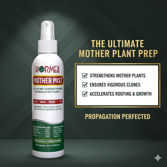 The Art of the Perfect Cutting: Your Guide to Successful Plant Propagation