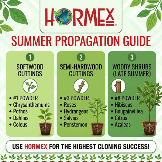 Summer Plant Propagation Guide: Hormex Rooting Powders