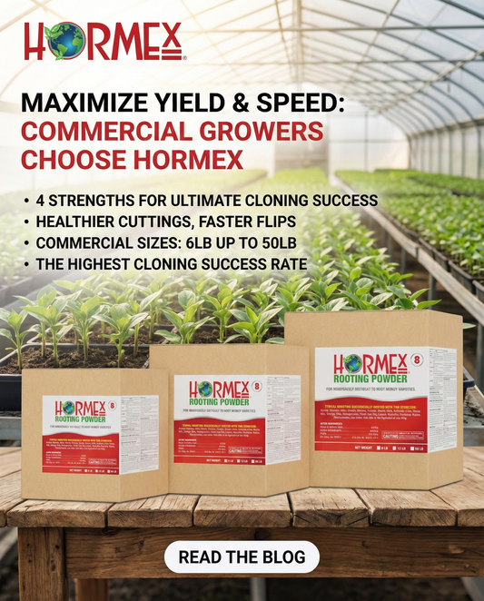Maximizing Yield and Speed: Why Commercial Growers are Switching to Hormex Rooting Powders