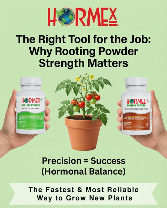 Fastest Rooting Hormone