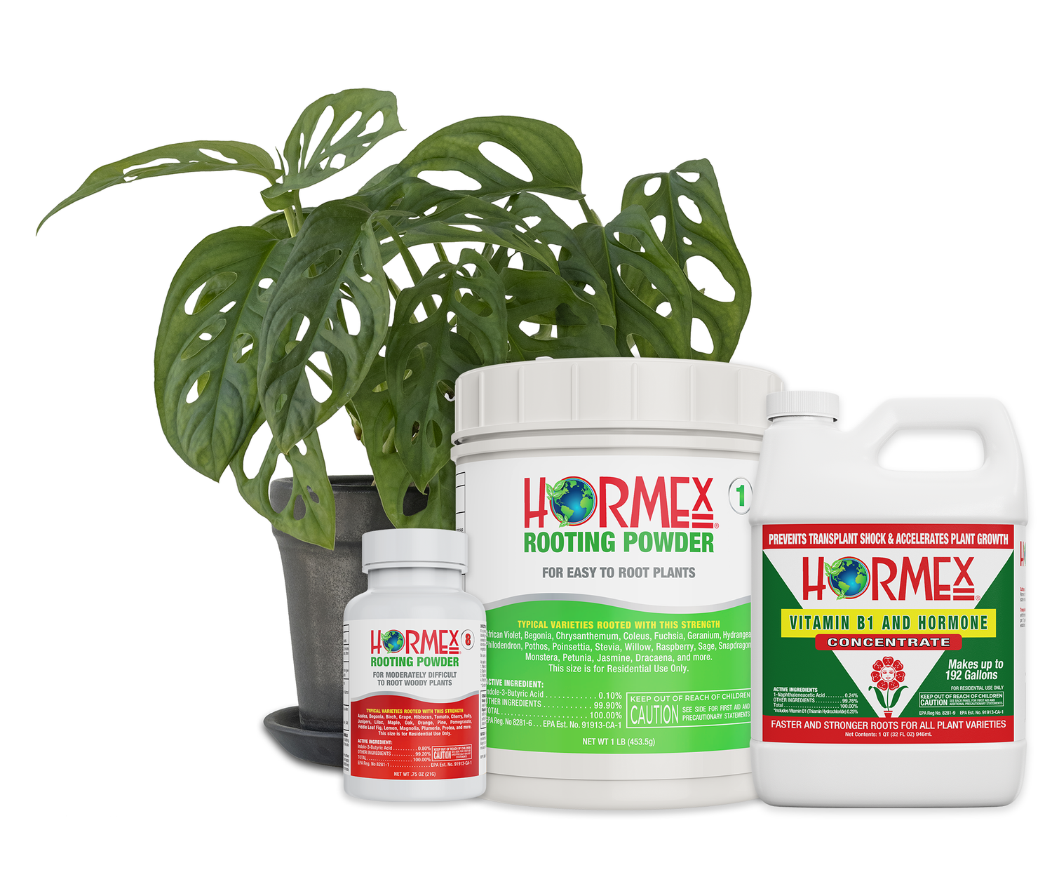 HORMEX PLANT PRODUCTS