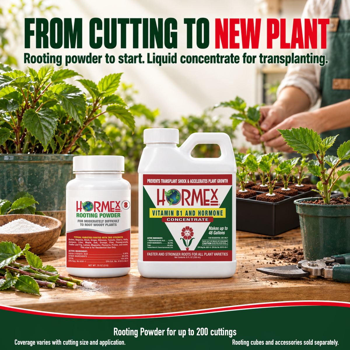 Hormex Rooting Duo: Rooting Powder #8 (3/4 oz) & Vitamin B1 & Hormone Concentrate (8 oz)