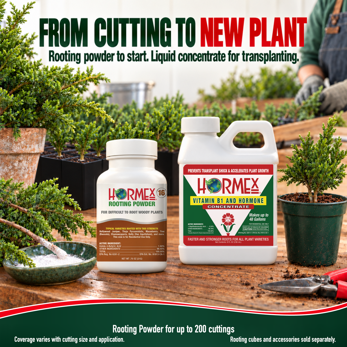 Hormex Rooting Duo: Rooting Powder #16 (3/4 oz) & Vitamin B1 & Hormone Concentrate (8 oz)