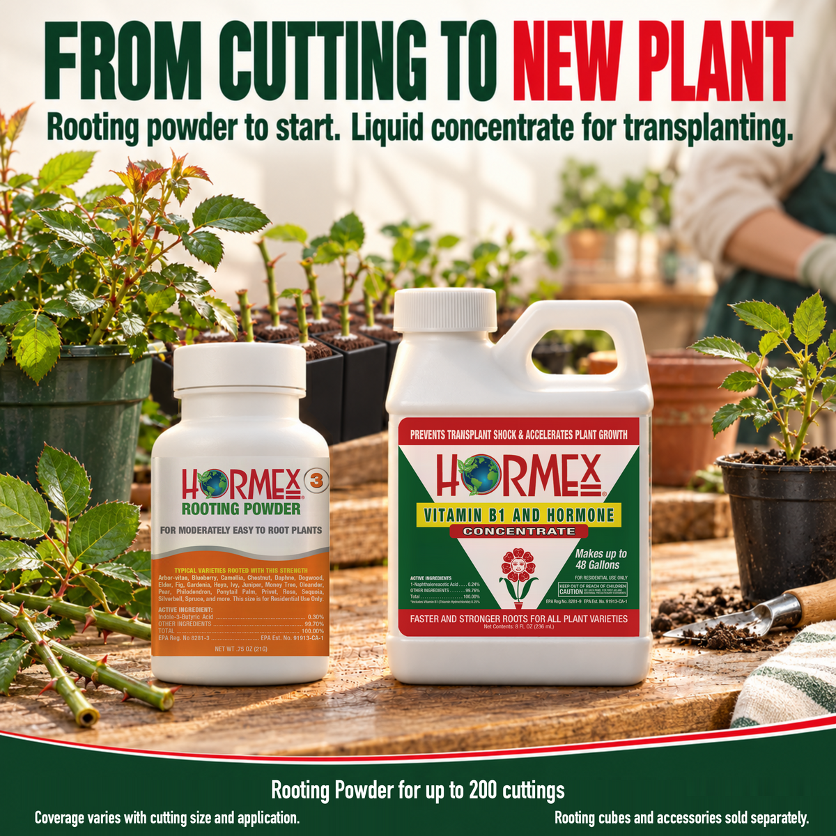 Hormex Rooting Duo: Rooting Powder #3 (3/4 oz) & Vitamin B1 & Hormone Concentrate (8 oz)