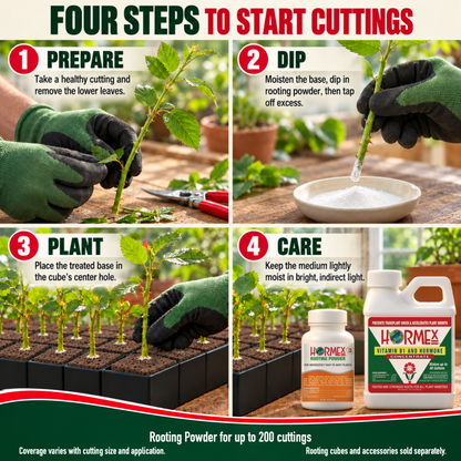 Hormex Rooting Duo: Rooting Powder #3 (3/4 oz) & Vitamin B1 & Hormone Concentrate (8 oz)