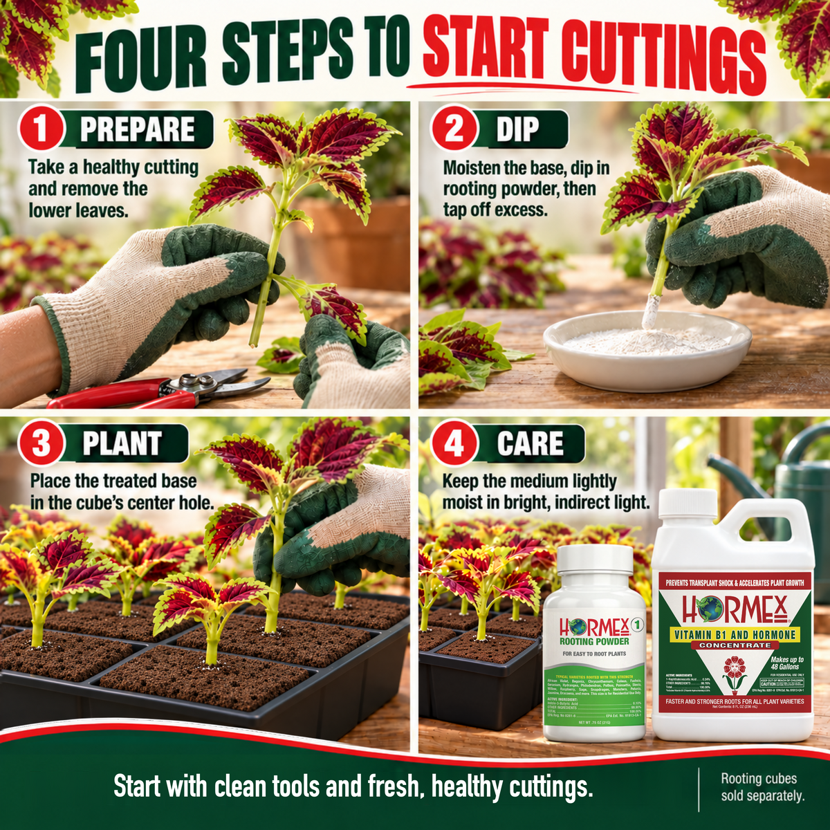 Hormex Rooting Duo: Rooting Powder #1 (3/4 oz) & Vitamin B1 & Hormone Concentrate (8 oz)