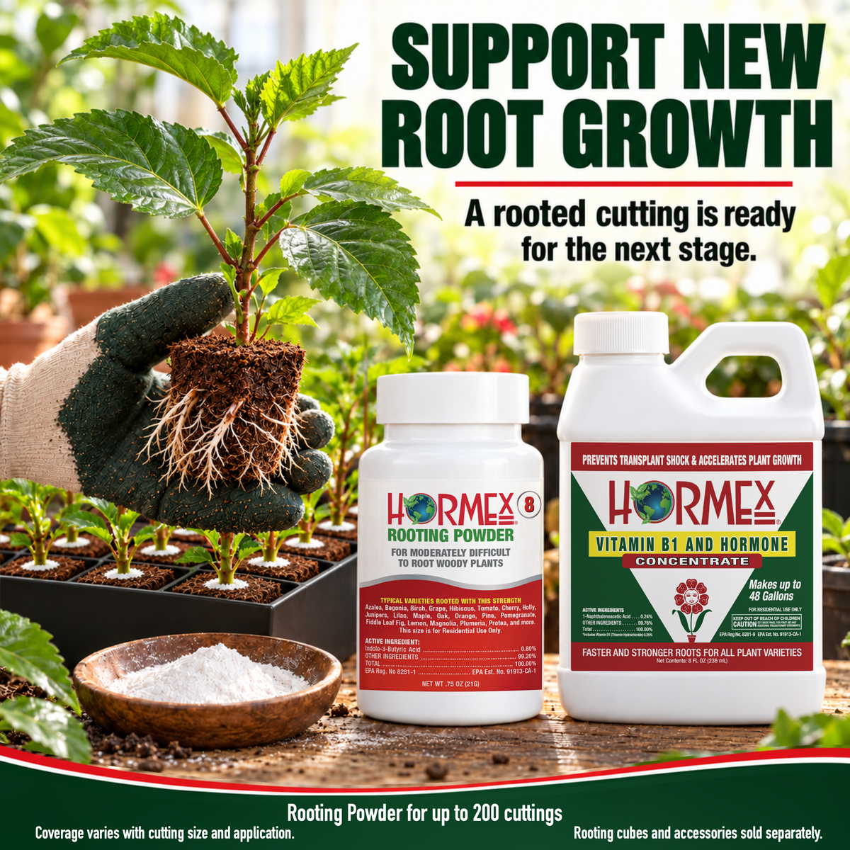 Hormex Rooting Duo: Rooting Powder #8 (3/4 oz) & Vitamin B1 & Hormone Concentrate (8 oz)