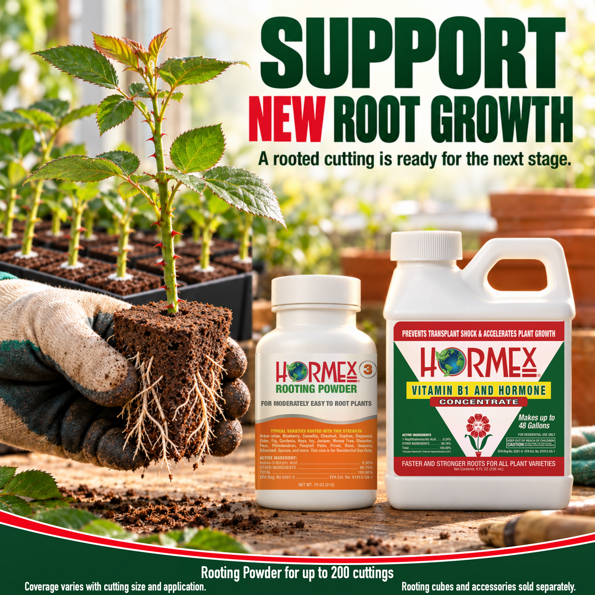 Hormex Rooting Duo: Rooting Powder #3 (3/4 oz) & Vitamin B1 & Hormone Concentrate (8 oz)