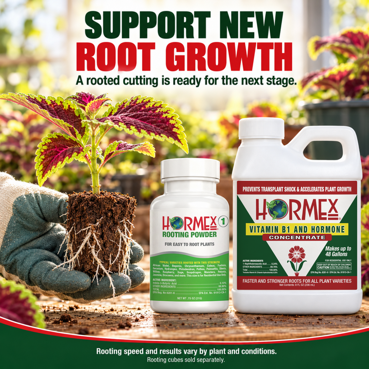 Hormex Rooting Duo: Rooting Powder #1 (3/4 oz) & Vitamin B1 & Hormone Concentrate (8 oz)