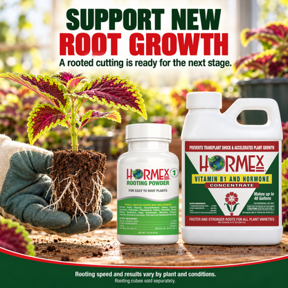 Hormex Rooting Duo: Rooting Powder #1 (3/4 oz) & Vitamin B1 & Hormone Concentrate (8 oz)