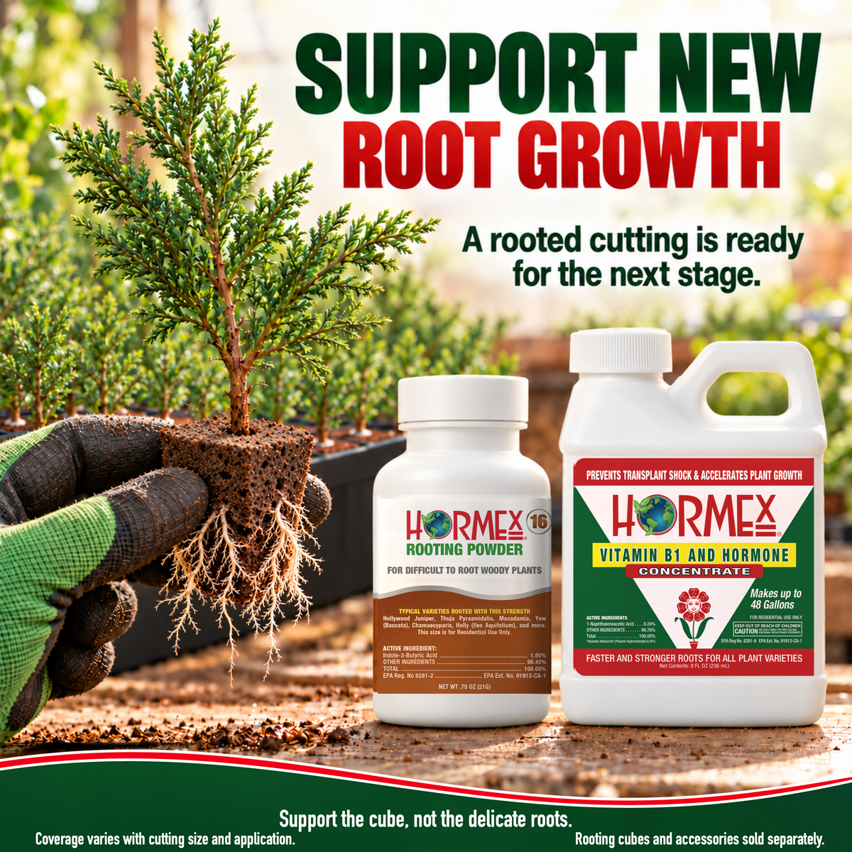Hormex Rooting Duo: Rooting Powder #16 (3/4 oz) & Vitamin B1 & Hormone Concentrate (8 oz)
