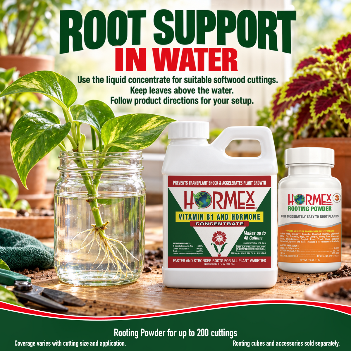 Hormex Rooting Duo: Rooting Powder #3 (3/4 oz) & Vitamin B1 & Hormone Concentrate (8 oz)
