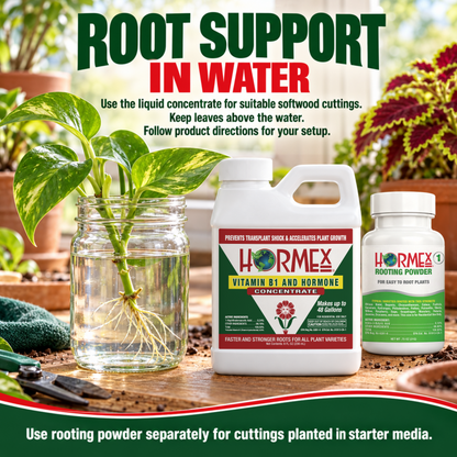 Hormex Rooting Duo: Rooting Powder #1 (3/4 oz) & Vitamin B1 & Hormone Concentrate (8 oz)