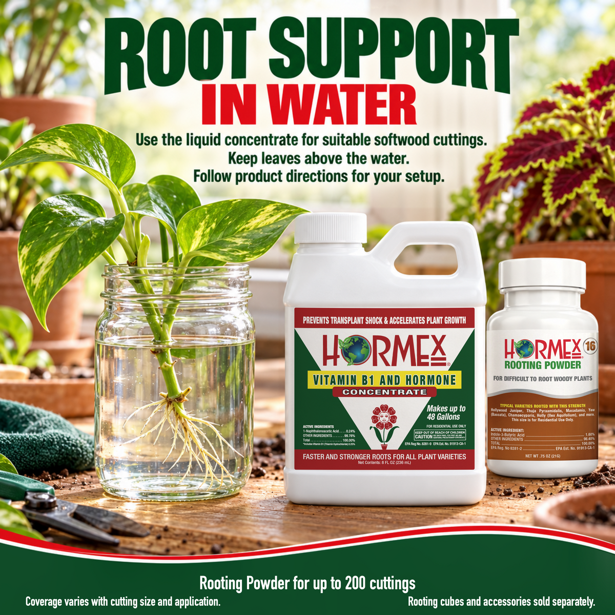 Hormex Rooting Duo: Rooting Powder #16 (3/4 oz) & Vitamin B1 & Hormone Concentrate (8 oz)