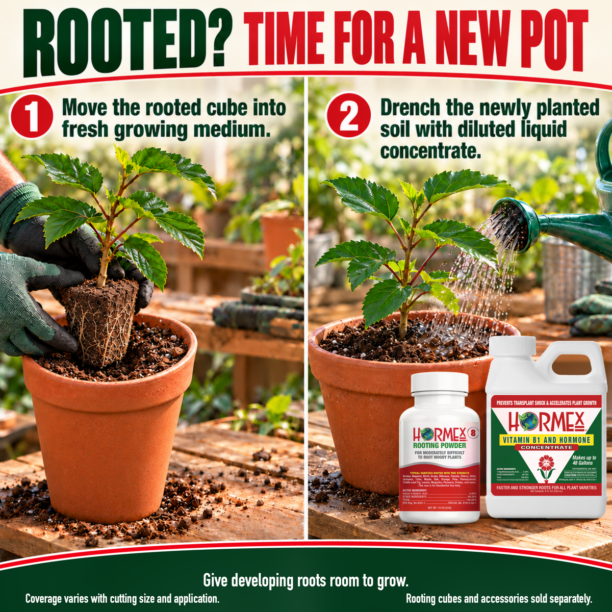 Hormex Rooting Duo: Rooting Powder #8 (3/4 oz) & Vitamin B1 & Hormone Concentrate (8 oz)