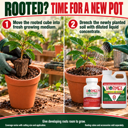 Hormex Rooting Duo: Rooting Powder #8 (3/4 oz) & Vitamin B1 & Hormone Concentrate (8 oz)