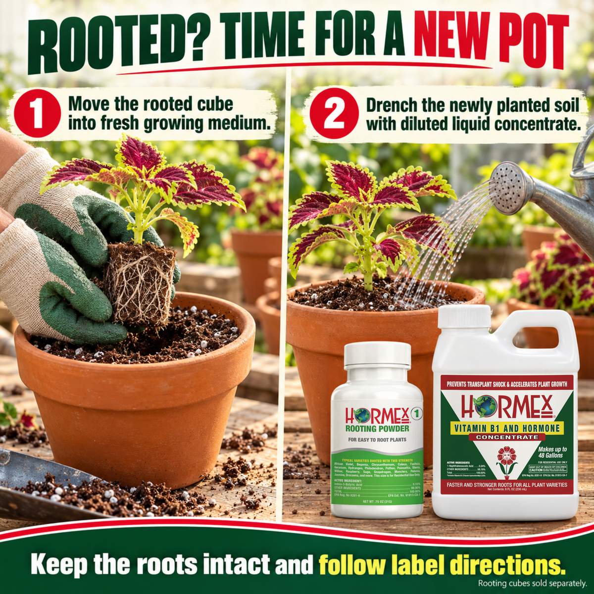 Hormex Rooting Duo: Rooting Powder #1 (3/4 oz) & Vitamin B1 & Hormone Concentrate (8 oz)