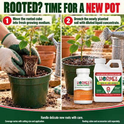 Hormex Rooting Duo: Rooting Powder #3 (3/4 oz) & Vitamin B1 & Hormone Concentrate (8 oz)