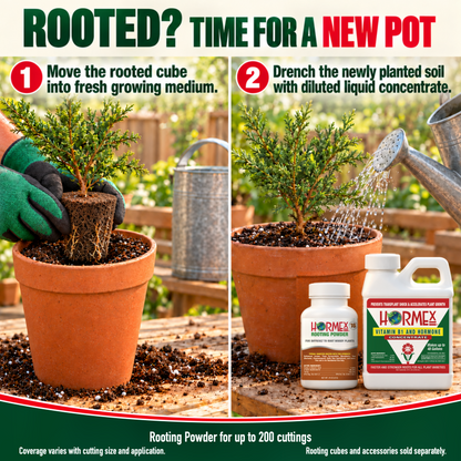Hormex Rooting Duo: Rooting Powder #16 (3/4 oz) & Vitamin B1 & Hormone Concentrate (8 oz)