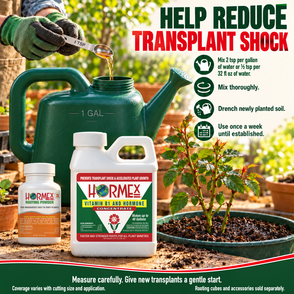 Hormex Rooting Duo: Rooting Powder #3 (3/4 oz) & Vitamin B1 & Hormone Concentrate (8 oz)