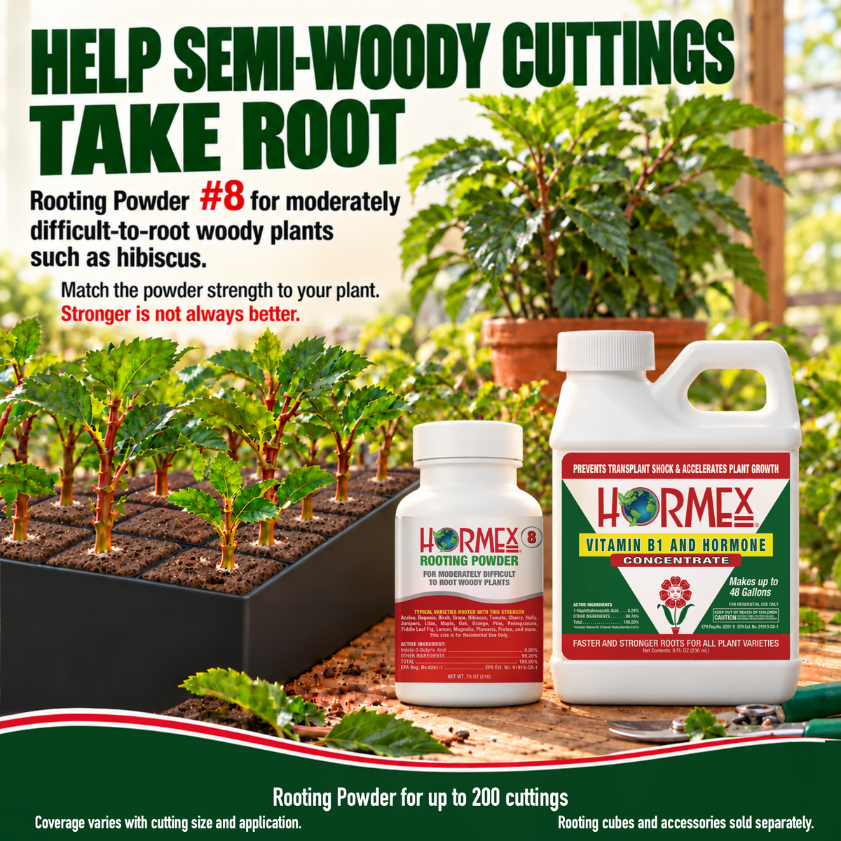 Hormex Rooting Duo: Rooting Powder #8 (3/4 oz) & Vitamin B1 & Hormone Concentrate (8 oz)
