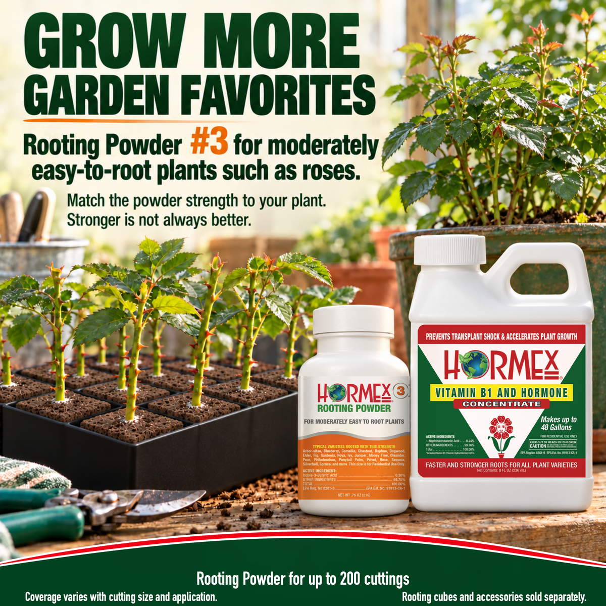 Hormex Rooting Duo: Rooting Powder #3 (3/4 oz) & Vitamin B1 & Hormone Concentrate (8 oz)