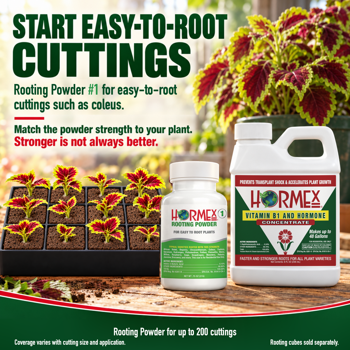 Hormex Rooting Duo: Rooting Powder #1 (3/4 oz) & Vitamin B1 & Hormone Concentrate (8 oz)