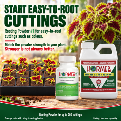 Hormex Rooting Duo: Rooting Powder #1 (3/4 oz) & Vitamin B1 & Hormone Concentrate (8 oz)